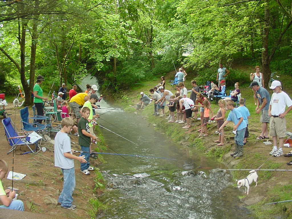 trout fishing